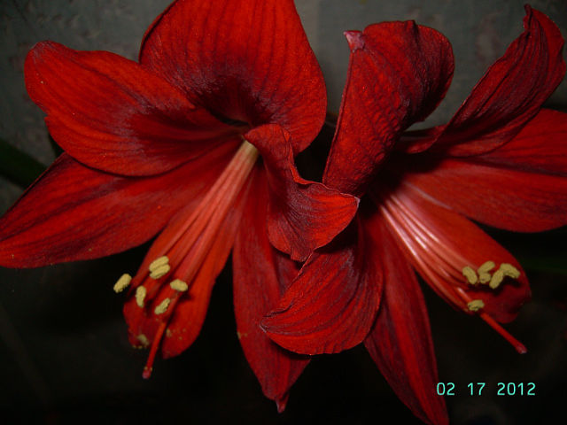 getImage (22).jpg