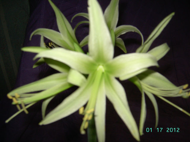 getImage (10).jpg