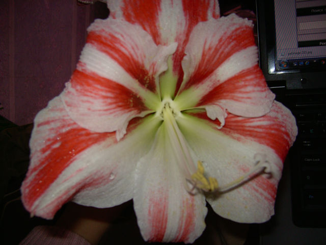 getImage (2).jpg