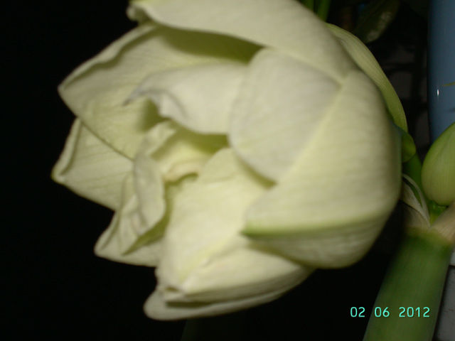getImage (15).jpg
