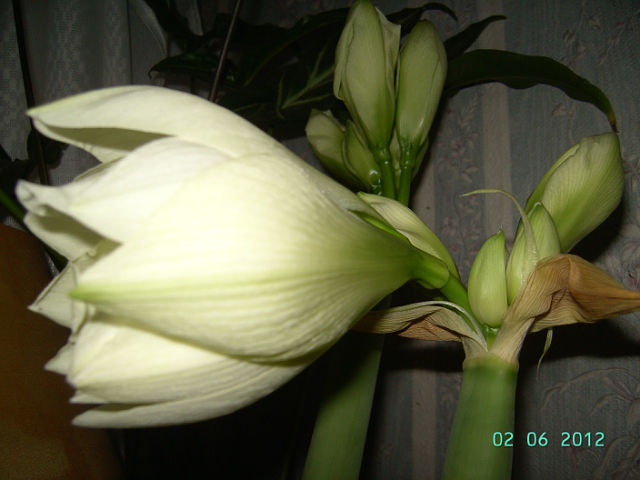 getImage (14).jpg