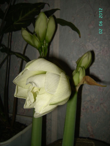 getImage (13).jpg