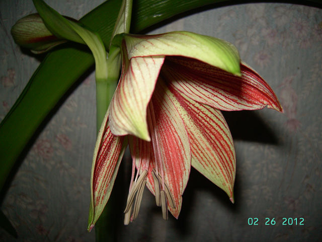 getImage (91).jpg