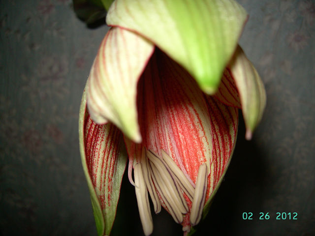 getImage (90).jpg
