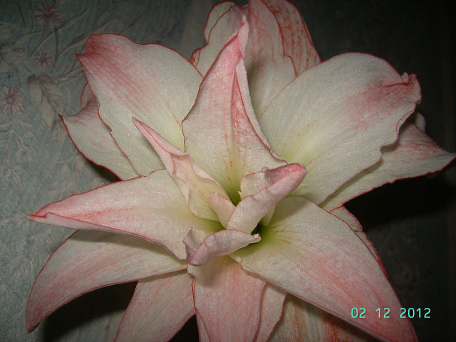 getImage (41).jpg