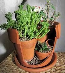 images (3).jpg