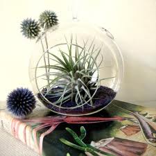 images (13).jpg