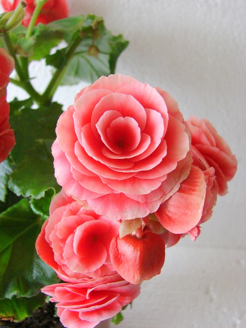 DSC05132af.jpg