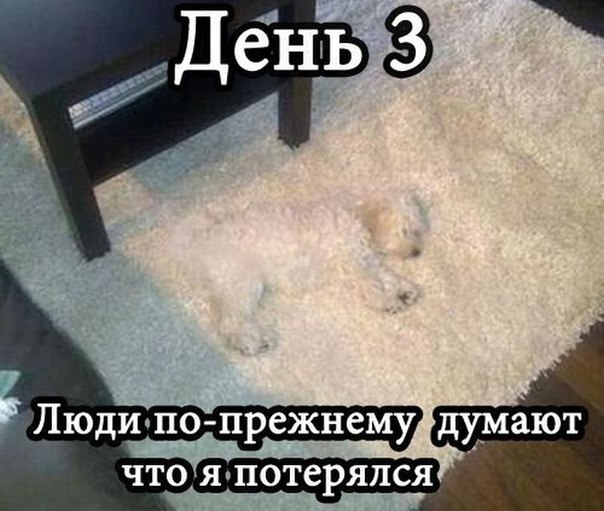 потерялся.jpg