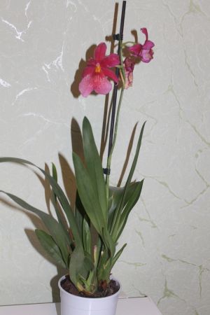 IMG_9936.jpg