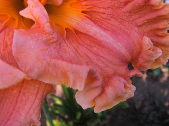 S73F5419.jpg