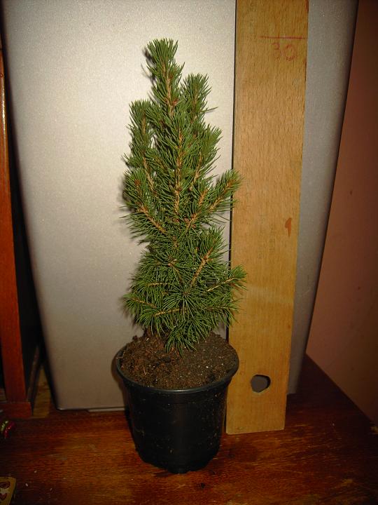PICT2437.JPG