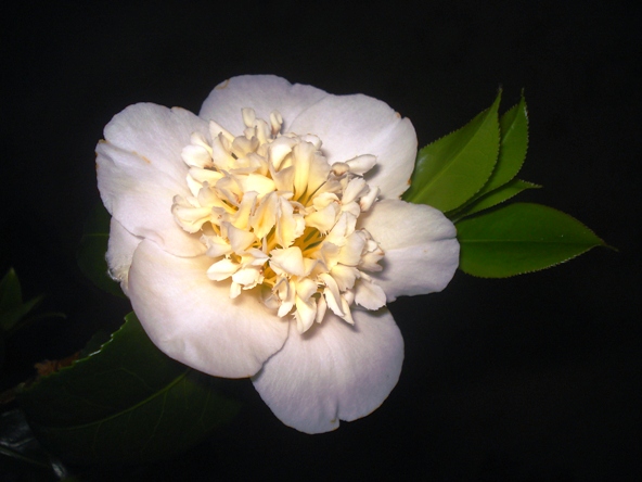 DSC02494_.jpg