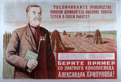 конопля.jpg