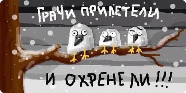 ctlAe9anmuA.jpg