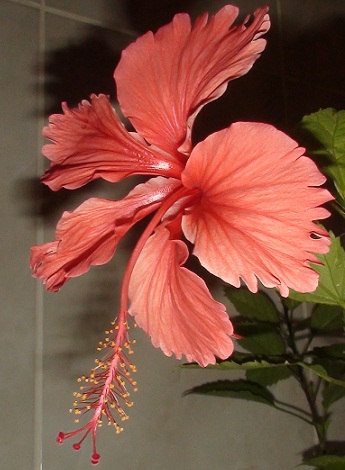 DSC01860.JPG