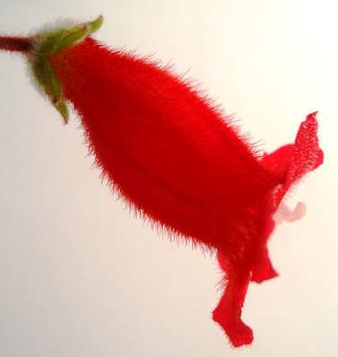 DSC02536_.jpg