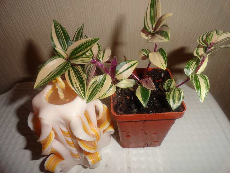 29.03.13 00008.jpg
