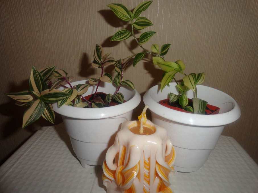 29.03.13 00011.jpg