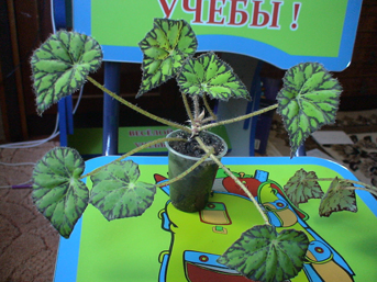 DSC00845(2).jpg