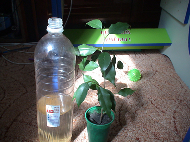 DSC00875(1).jpg