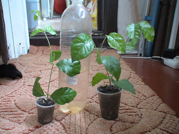 DSC00878(1).jpg
