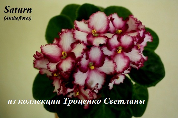 IMG_5835.JPG