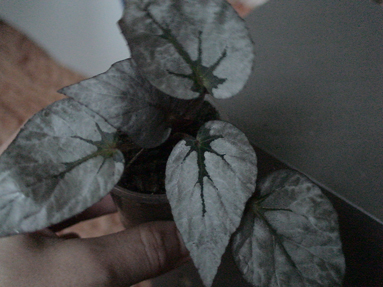 DSC00884а.jpg