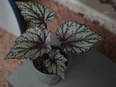 DSC00886а.jpg