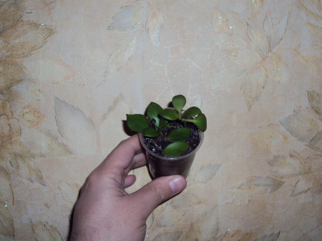 DSC07031.JPG
