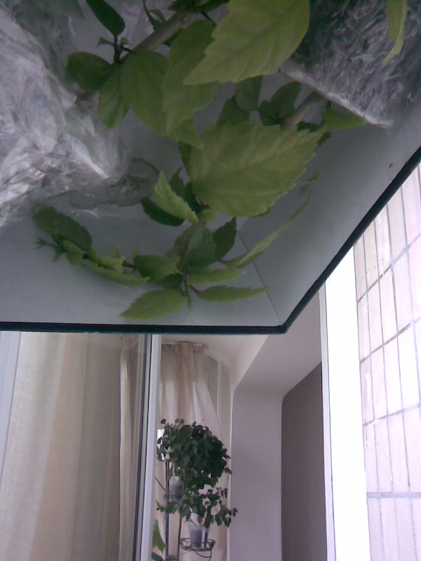 Image005.jpg