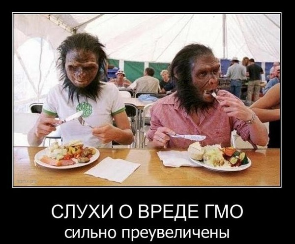 ГМО.jpg
