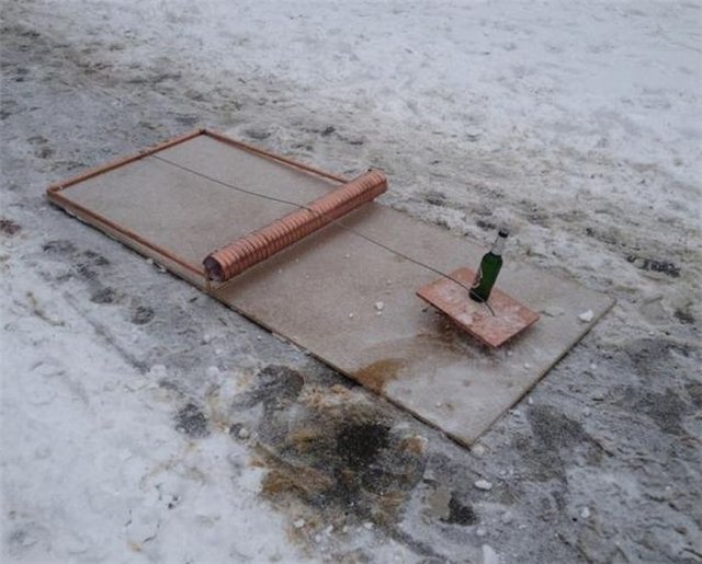 ловушка.jpg