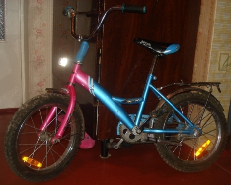 DSC02732.JPG