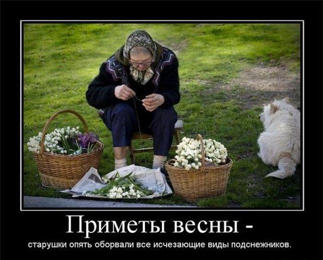 весна.jpg