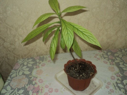 DSC01904 (Копировать).JPG
