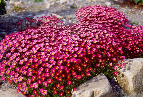 20100412155955.jpg