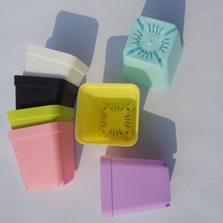 Plastic-70-seven-multicolour-square-meat-small-flower-pot.jpg