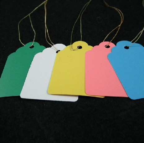 100-pcs-5MM-3-5MM-Plant-Hanging-Tags-Markers-Labels-Plastic-Blank-Display-Garden-Pot.jpg