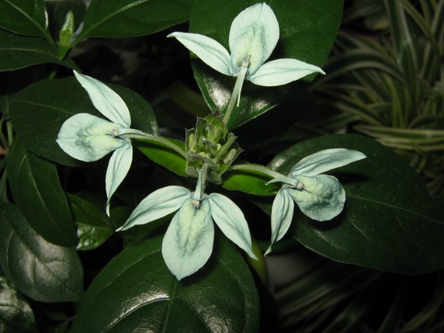 76d3943ac078.jpg