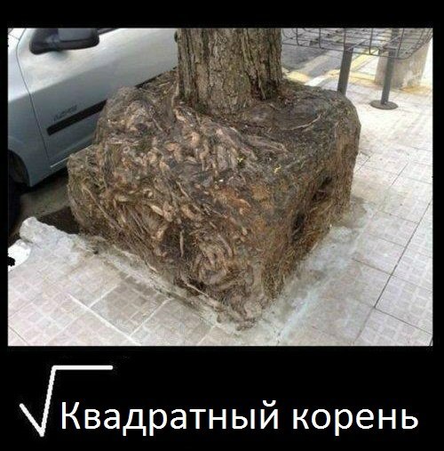 xZTea3Ah9sY.jpg