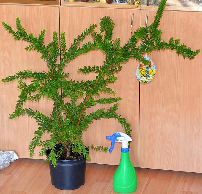 DSC_1206.JPG