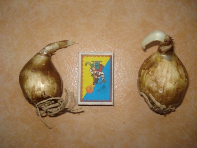 DSC09623.JPG