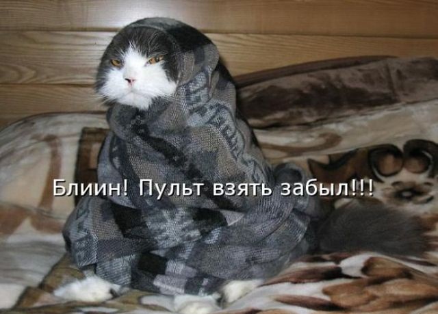 блин.jpg
