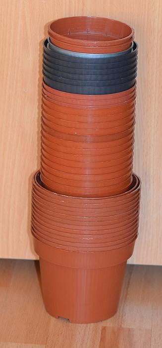 DSC_1227.JPG