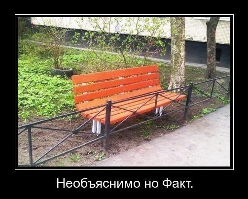 факт.jpg
