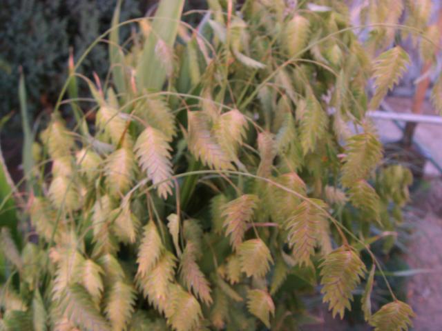 S73F5226.jpg