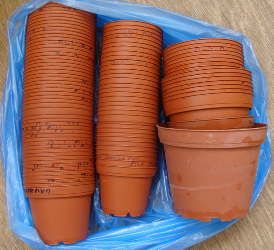 DSC07624.jpg