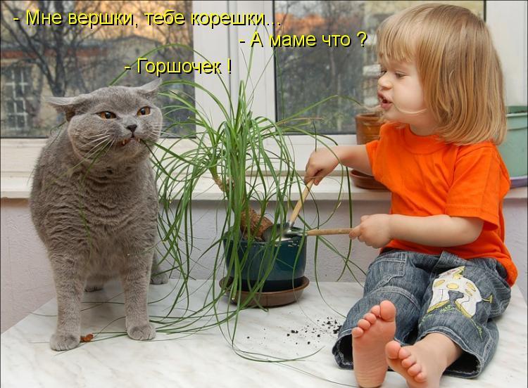 горшочек.jpg