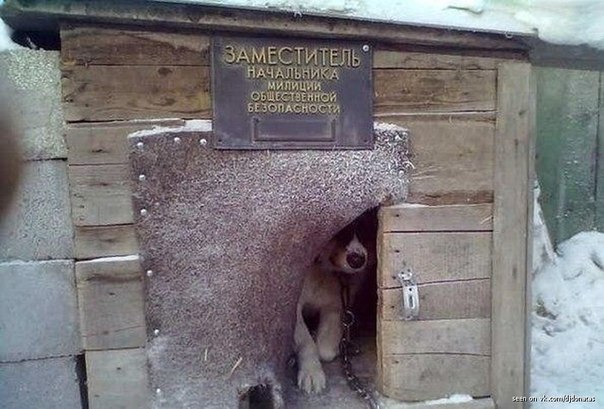 заместитель.jpg